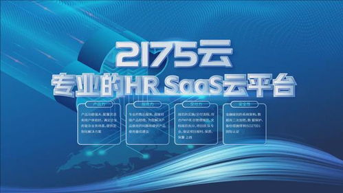 关于2175云
