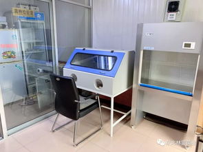 全国黑木耳科技培训通知（第710期）